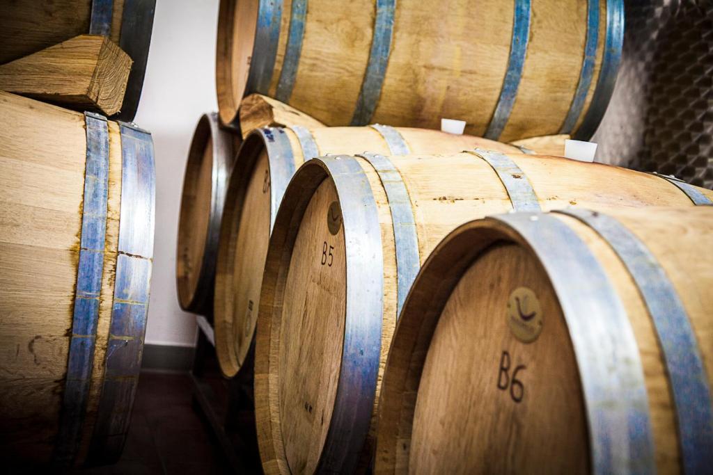 Agriturismo Casteldelpiano Licciana Nardi エクステリア 写真